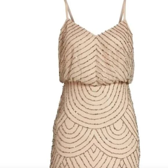 NEW $199  Adrianna Papell Sequin Mesh Blouson Dress in Taupe Pink   Size 2 - Picture 5 of 6